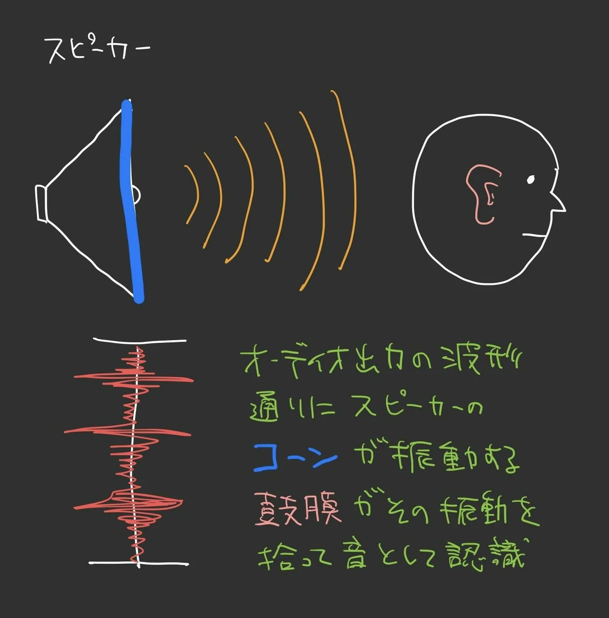 図版: スピーカーと鼓膜
